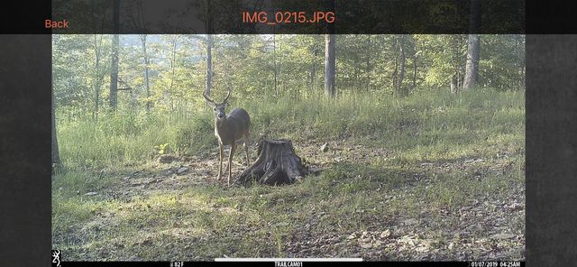 1658 Dry Hollow Road, Monticello, KY 42633