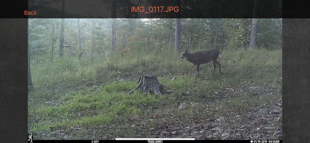1658 Dry Hollow Road, Monticello, KY 42633