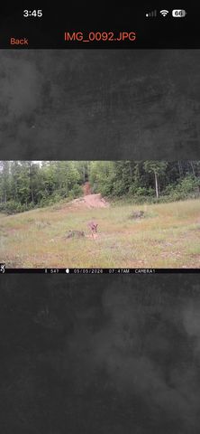 1658 Dry Hollow Road, Monticello, KY 42633