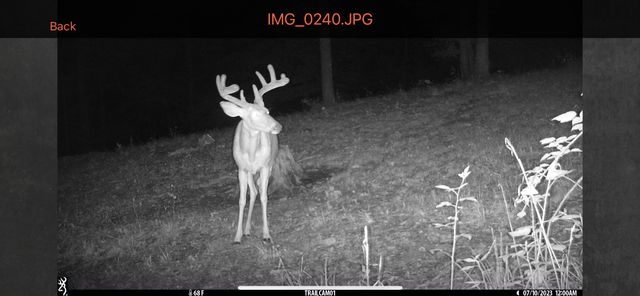 1658 Dry Hollow Road, Monticello, KY 42633