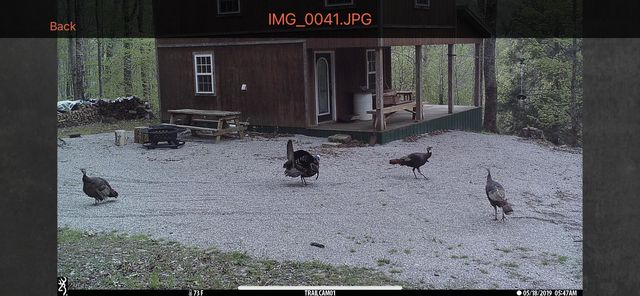 1658 Dry Hollow Road, Monticello, KY 42633