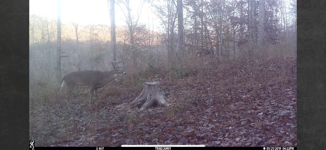 1658 Dry Hollow Road, Monticello, KY 42633