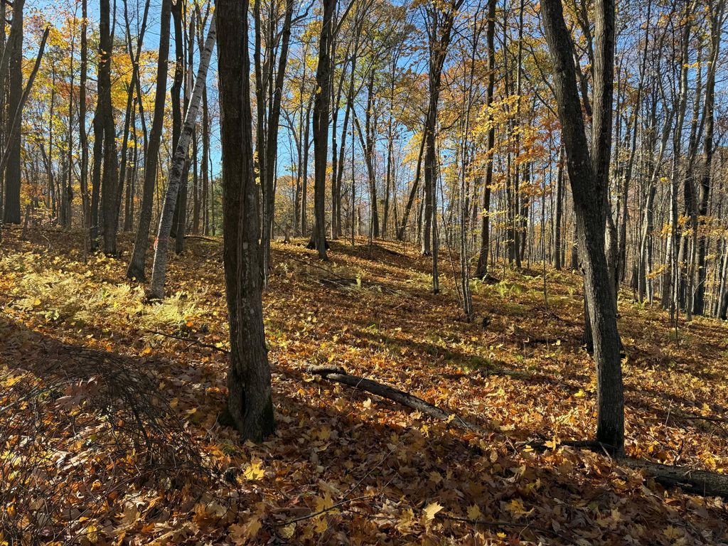 TBD County Hwy MD, Sarona, WI 54870 — photo 3