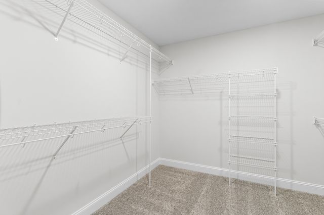 548 Castle Pinckney Lane, Clarksville, TN 37042