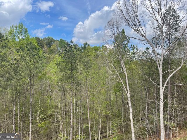 0 Bill Smith Drive, Canton, GA 30114
