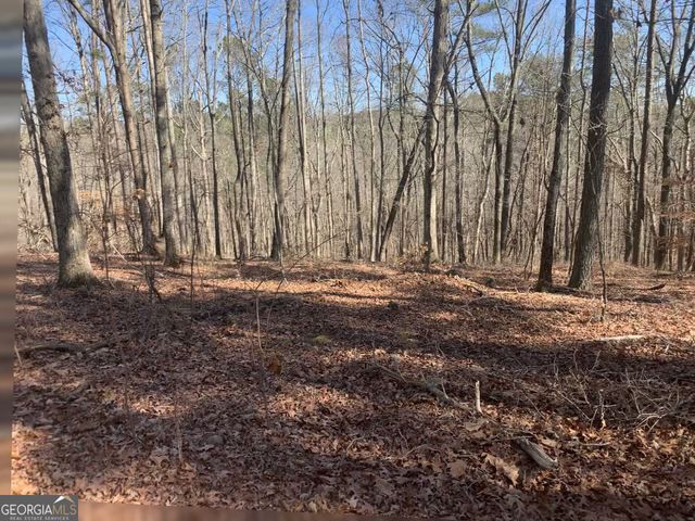 0 Bill Smith Drive, Canton, GA 30114