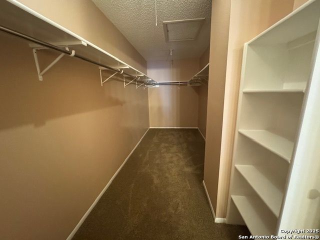 4234 Misty Glade, San Antonio, TX 78247