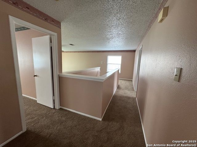 4234 Misty Glade, San Antonio, TX 78247