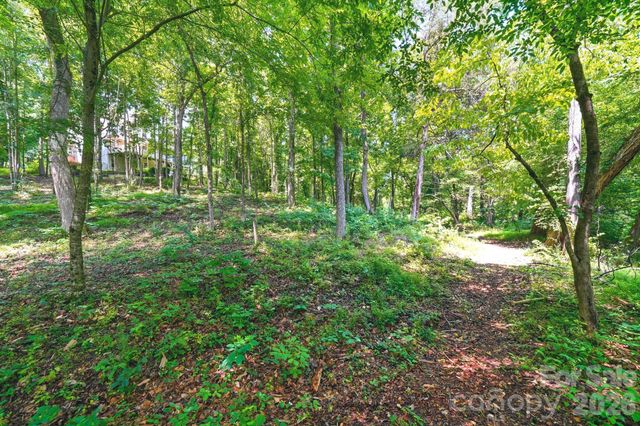 309 Walking Horse Trail, Davidson, NC 28036
