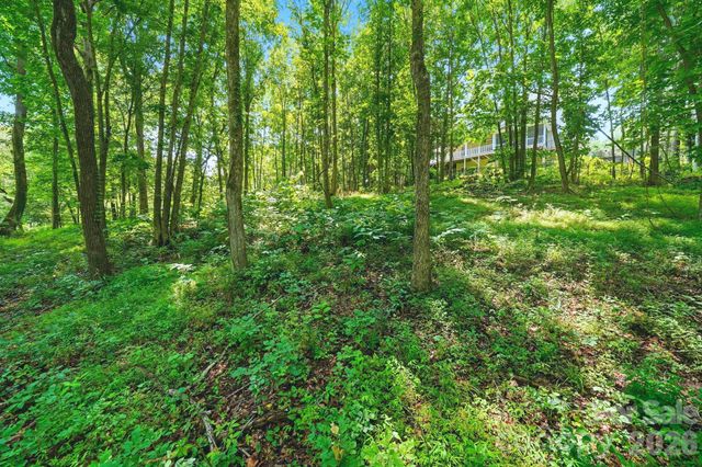 309 Walking Horse Trail, Davidson, NC 28036