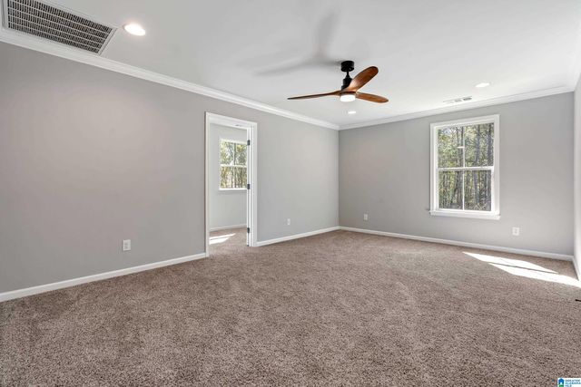 21320 CALLIE CIRCLE, Mccalla, AL 35111