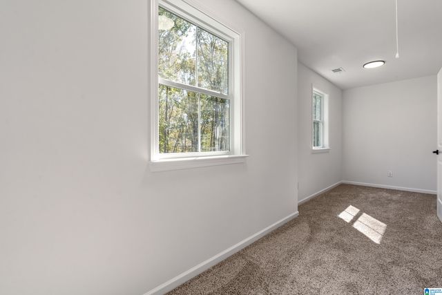 21320 CALLIE CIRCLE, Mccalla, AL 35111