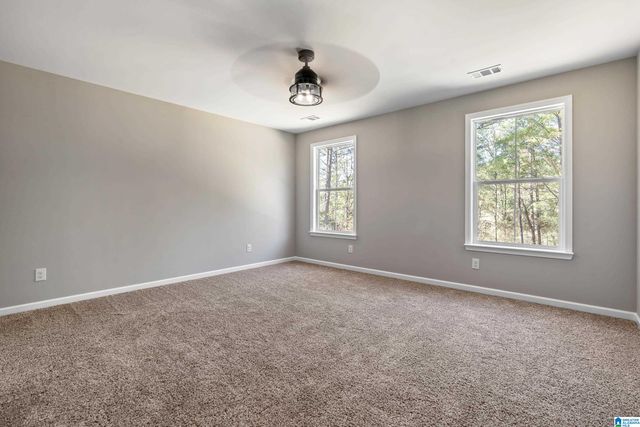 21320 CALLIE CIRCLE, Mccalla, AL 35111