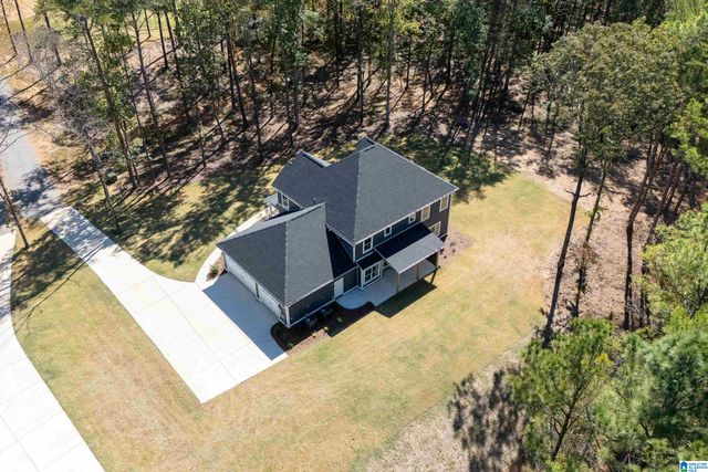 21320 CALLIE CIRCLE, Mccalla, AL 35111
