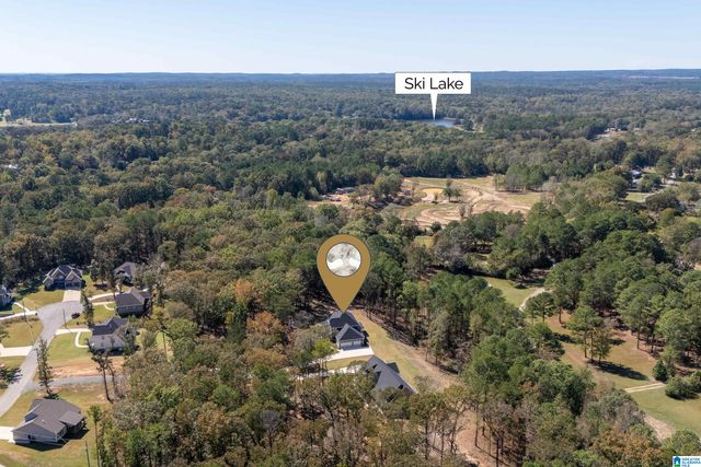 21320 CALLIE CIRCLE, Mccalla, AL 35111