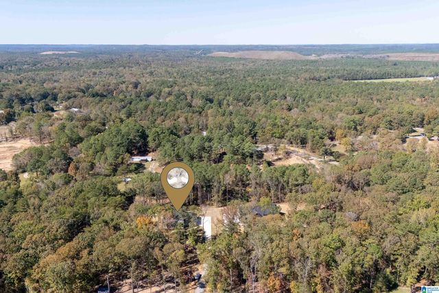 21320 CALLIE CIRCLE, Mccalla, AL 35111