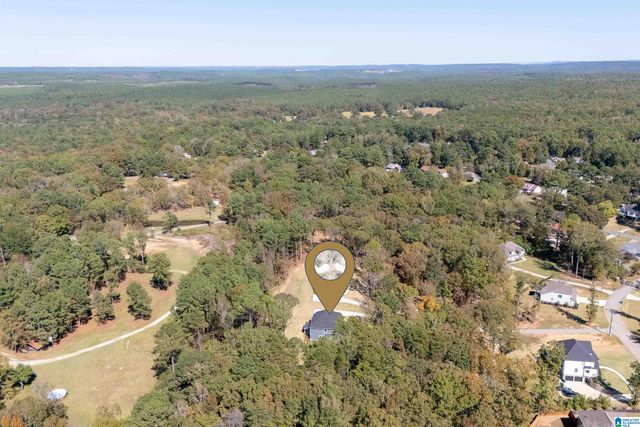 21320 CALLIE CIRCLE, Mccalla, AL 35111