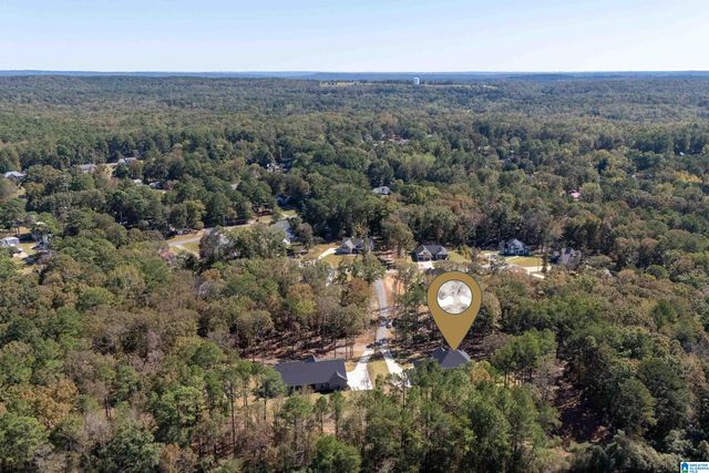 21320 CALLIE CIRCLE, Mccalla, AL 35111