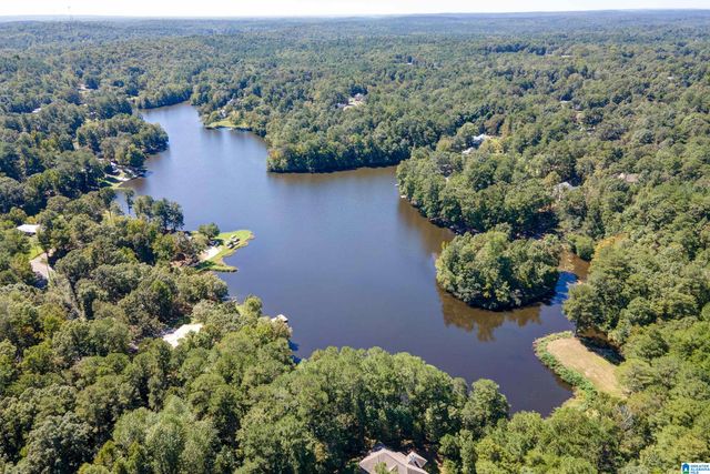 21320 CALLIE CIRCLE, Mccalla, AL 35111