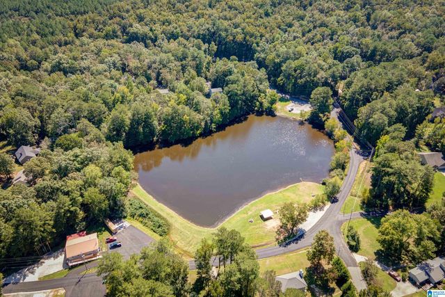 21320 CALLIE CIRCLE, Mccalla, AL 35111