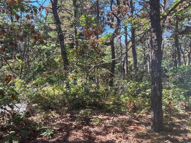 10 Shadbush, Mashpee, MA 02649