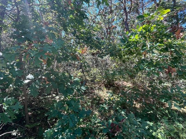 10 Shadbush, Mashpee, MA 02649