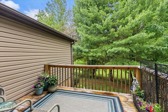 514 Pilgrim Court B, Johnson City, TN 37601