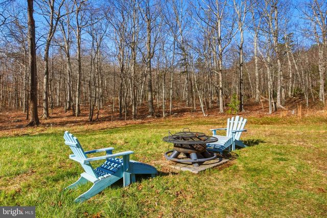 553 MOUNT OF OLIVES TRL, Fort Valley, VA 22652