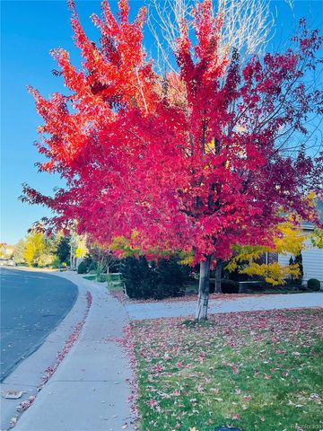 16866 E Peakview Avenue, Aurora, CO 80016