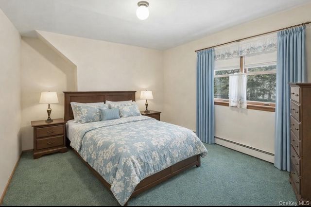 3 Coral Cove, East Norwich, NY 11732