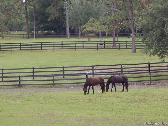 4976 W Yearling Drive, Beverly Hills, FL 34465