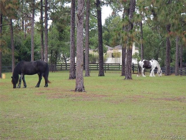 4976 W Yearling Drive, Beverly Hills, FL 34465