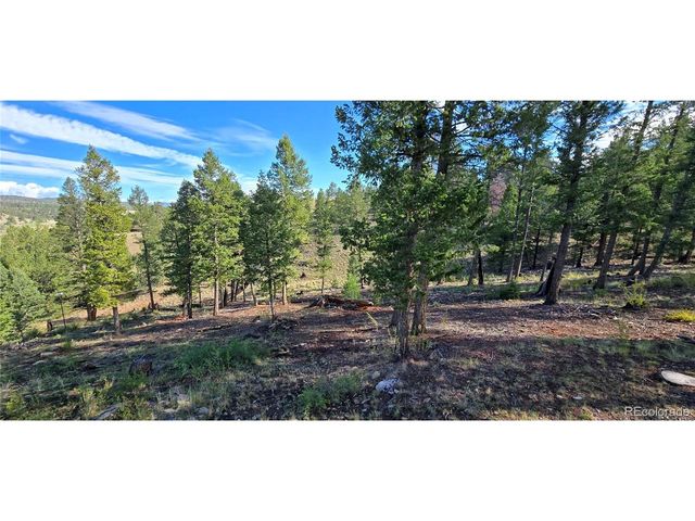 22800 County Road 185 C, Salida, CO 81201