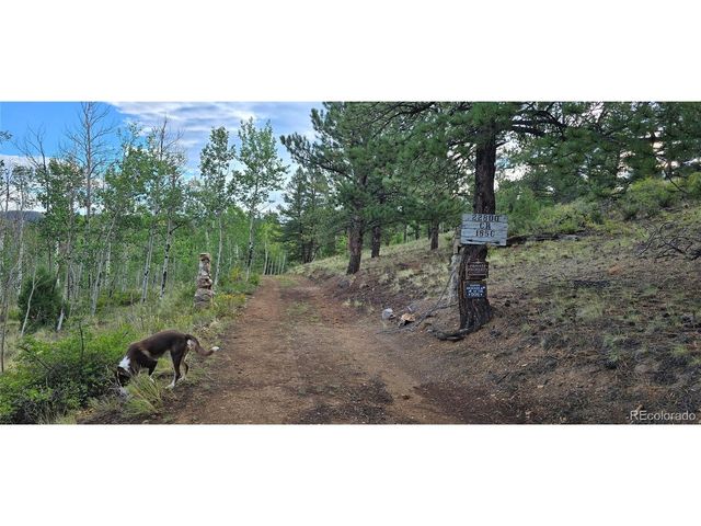22800 County Road 185 C, Salida, CO 81201