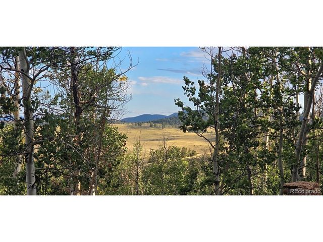 22800 County Road 185 C, Salida, CO 81201