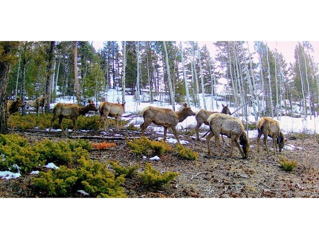 22800 County Road 185 C, Salida, CO 81201