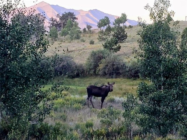 22800 County Road 185 C, Salida, CO 81201