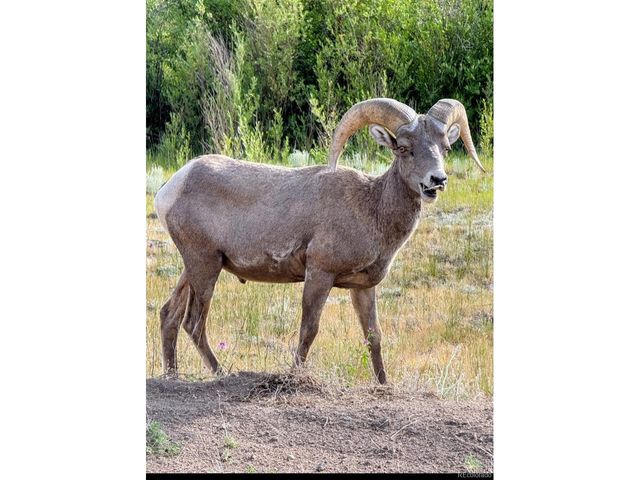 22800 County Road 185 C, Salida, CO 81201
