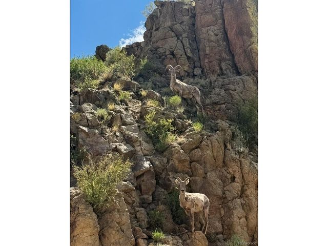 22800 County Road 185 C, Salida, CO 81201