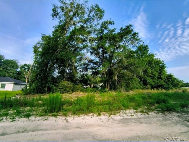 48 N Buchannon Terrace, Inverness, FL 34453
