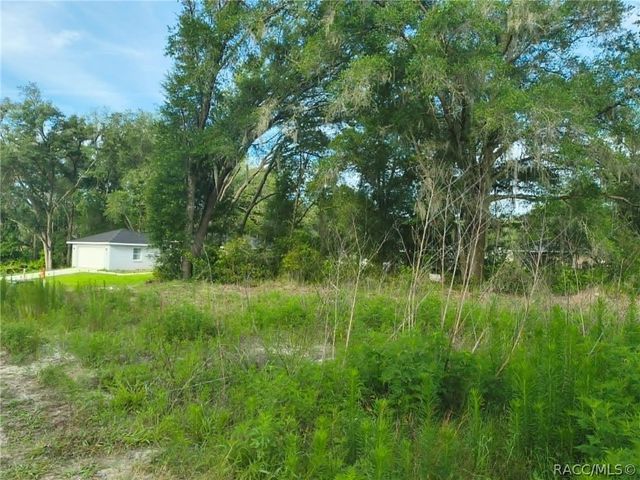 48 N Buchannon Terrace, Inverness, FL 34453