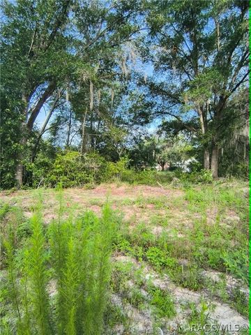 48 N Buchannon Terrace, Inverness, FL 34453