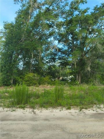 48 N Buchannon Terrace, Inverness, FL 34453