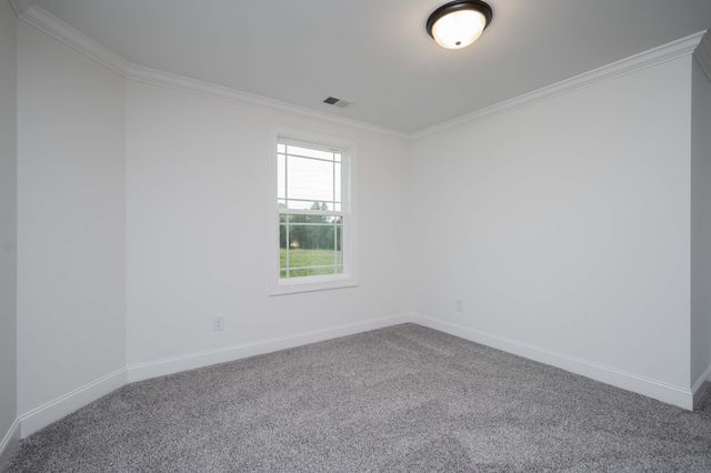 5401 Vermillion Ct, Christiana, TN 37037