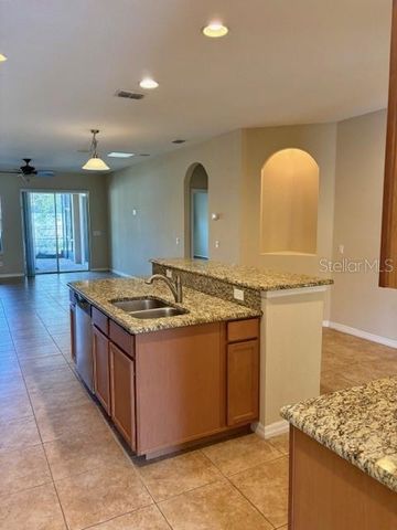 17321 CYPRESS PRESERVE PKWY, Orlando, FL 32820