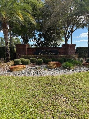17321 CYPRESS PRESERVE PKWY, Orlando, FL 32820