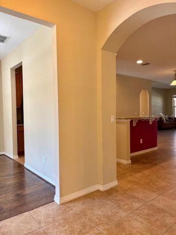 17321 CYPRESS PRESERVE PKWY, Orlando, FL 32820