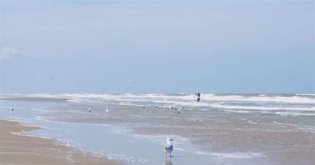 13719 Mutiny Lane, Galveston, TX 77554