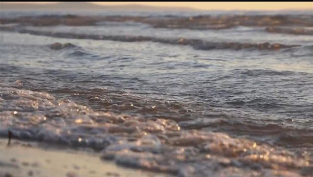 13719 Mutiny Lane, Galveston, TX 77554