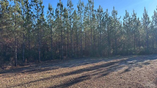 lot 57 Straw Bridge Rd, Allentown, FL 32565